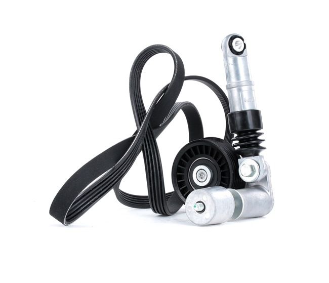 Poly V-riem set (542R0069) van RIDEX Voor VW PASSAT Variant (3B5) 1.9 TDI (85 KW / 115 PK / Van 1998)