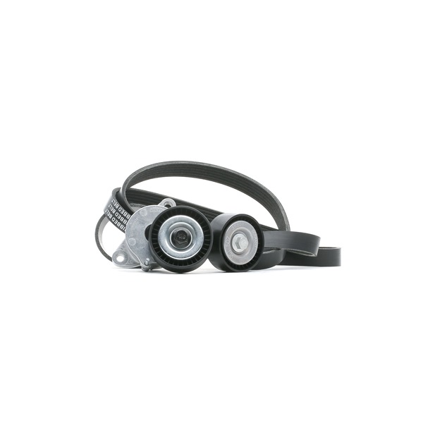 OEM 1340272 RIDEX Jogo de correias trapezoidais estriadas 542R0076 para VW, OPEL, AUDI, FORD, SAAB