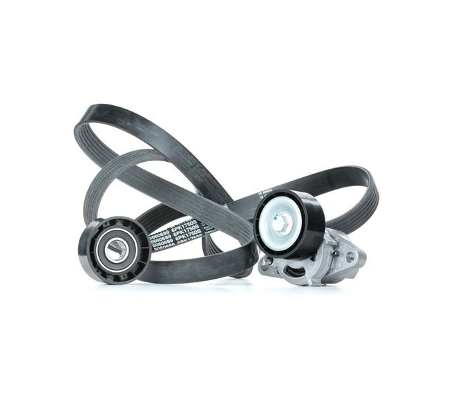 STARK Kit Cinghie Poly-V (SKRBS-1200081) per RENAULT Scénic I (JA0/1_, FA0_) 2.0 16V (JA1B, JA1D, JA0C) (102 KW / 139 CV / dal 2000)