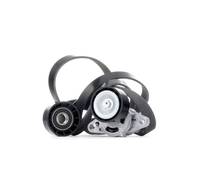 Poly V-riem set (542R0082) van RIDEX Voor RENAULT CLIO II (BB0/1/2_, CB0/1/2_) 1.6 Hi-Flex (CB0H) (86 KW / 117 PK / Van 2005)
