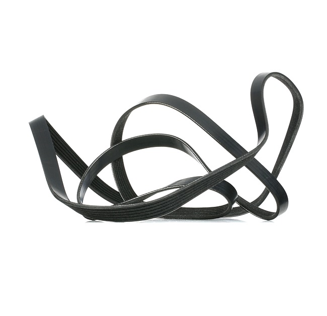 RIDEX Juego de correas trapeciales poli V (542R0084) para OPEL Astra H GTC (A04) 1.7 CDTI (L08) (92 KW / 125 CV / de 2007)