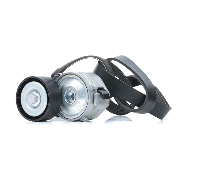 OEM 5751F5 RIDEX Kileremsett 542R0085 for VW, VOLVO, FORD, PEUGEOT, CITROЁN