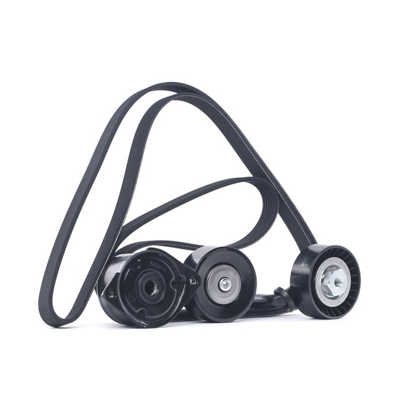 RIDEX Jogo de correias trapezoidais estriadas (542R0089) para BMW 3 Compact (E46) 318 td (85 KW / 115 CV / de 2003)
