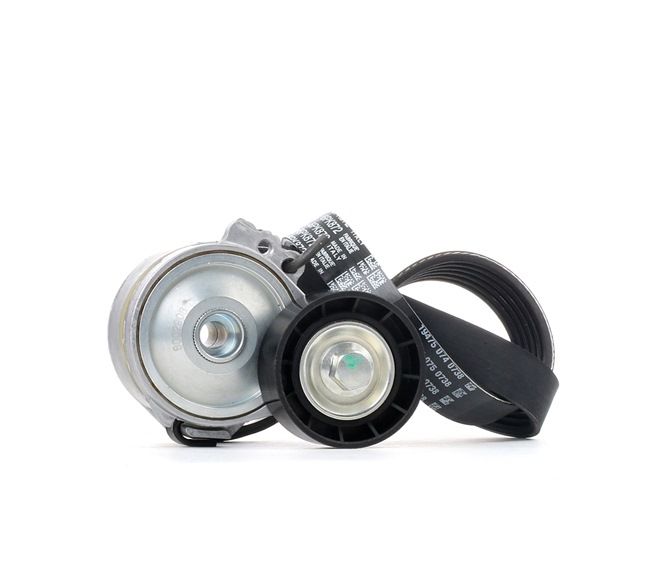 Poly V-riem set (SKRBS-1200091) van STARK Voor CITROËN JUMPER Open laadbak/ Chassis (244) 2.2 HDi (74 KW / 101 PK / Van 2002)
