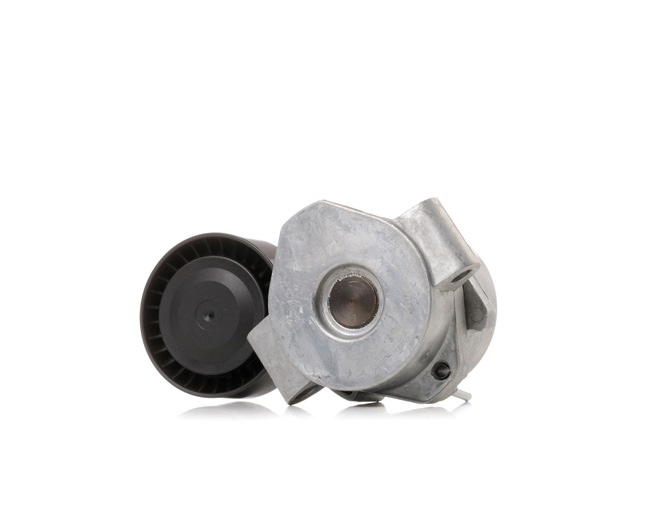 DUCATO Tensioner pulley 310T0289 RIDEX