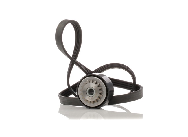 Poly V-riem set (SKRBS-1200100) van STARK Voor RENAULT CLIO II (BB0/1/2_, CB0/1/2_) 1.2 (55 KW / 75 PK / Van 2001)