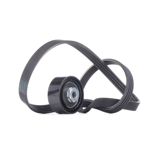 RIDEX Jeu de courroies trapézoïdales à nervures (542R0101) pour RENAULT Kangoo I Express (FC, FC0/1) 1.2 (FC01, FC0A, FC0F) (43 KW / 58 CH / de 1997)