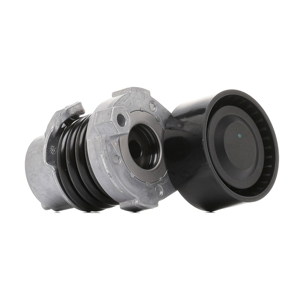 CAPTUR Tensioner pulley 310T0290 RIDEX