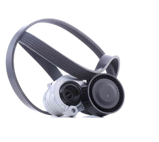 OEM 117206096R STARK Moniurahihnasarja SKRBS-1200107 varten RENAULT, DACIA, RENAULT TRUCKS