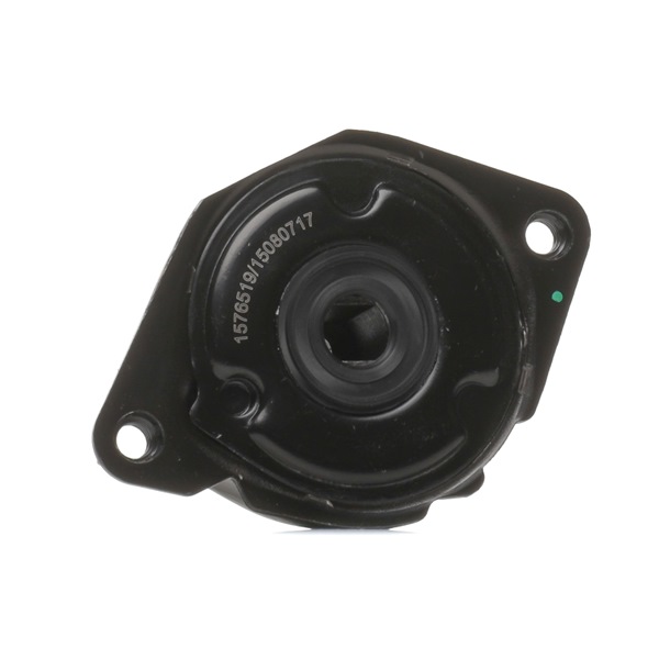 OEM 64557787371 RIDEX Rullo tenditore cinghia Poly-V 310T0292 per BMW, MINI, AC