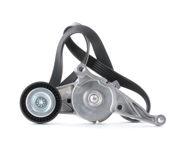 OEM 03G903315C STARK Kit Cinghie Poly-V SKRBS-1200114 per VOLKSWAGEN, AUDI, FORD, CITROЁN, SEAT