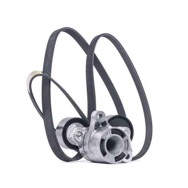 Poly V-riem set (542R0121) van RIDEX Voor BMW 5 Sedan (F10) 520 d (100 KW / 136 PK / Van 2013)