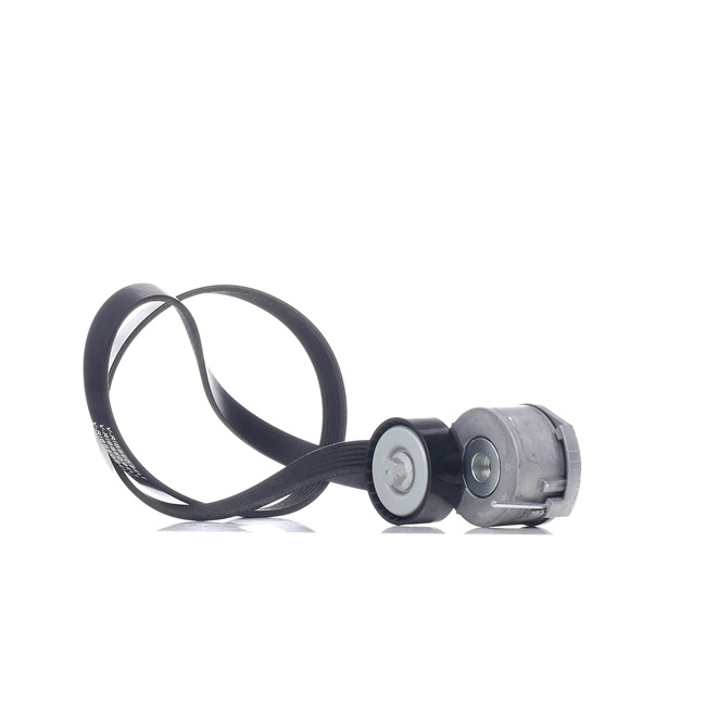 OEM 9M5Q6A228BA RIDEX Kileremsett 542R0125 for FORD