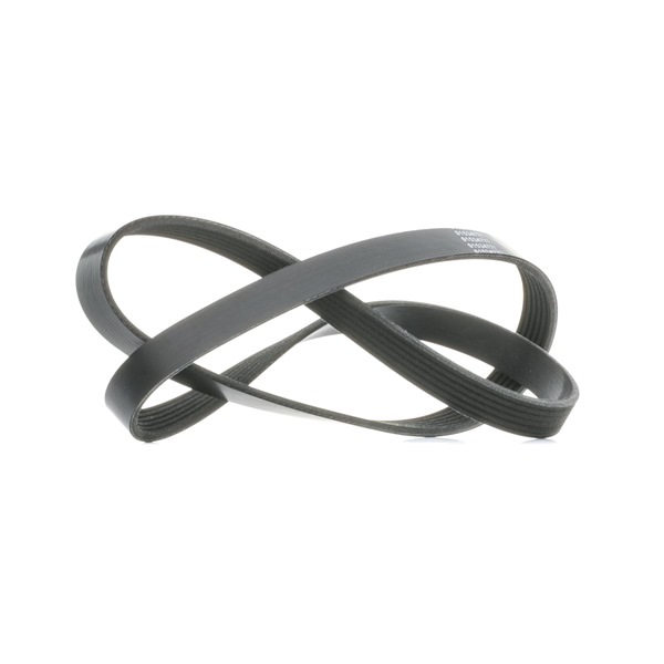 OEM 6198309 STARK Serpentine belt SKPB-0090253 for FORD, VOLVO, FIAT, MITSUBISHI
