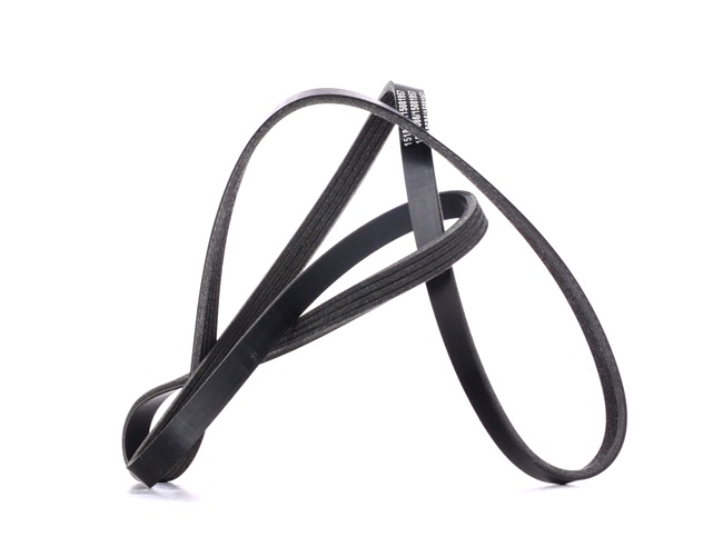 Multiriem (305P0400) van RIDEX Voor RENAULT CLIO II (BB0/1/2_, CB0/1/2_) 1.2 LPG (43 KW / 58 PK / Van 1998)