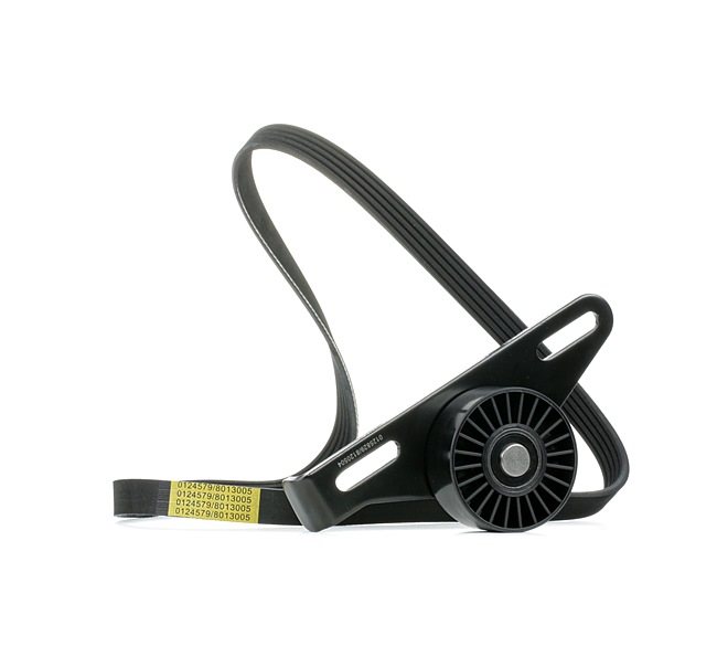 Poly V-riem set (SKRBS-1200137) van STARK Voor RENAULT CLIO II (BB0/1/2_, CB0/1/2_) 1.4 16V (B/CB0L) (70 KW / 95 PK / Van 1999)