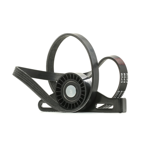 Poly V-riem set (542R0138) van RIDEX Voor RENAULT CLIO II (BB0/1/2_, CB0/1/2_) 1.6 Hi-Flex (CB0H) (86 KW / 117 PK / Van 2005)