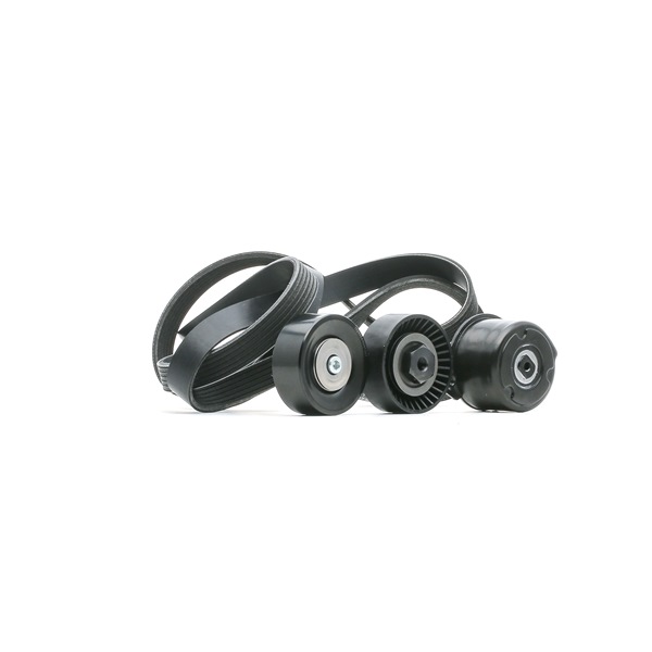 RIDEX Keilrippenriemensatz (542R0144) für BMW 7 (E65, E66, E67) 730 Ld (170 KW / 231 PS / ab 2005)
