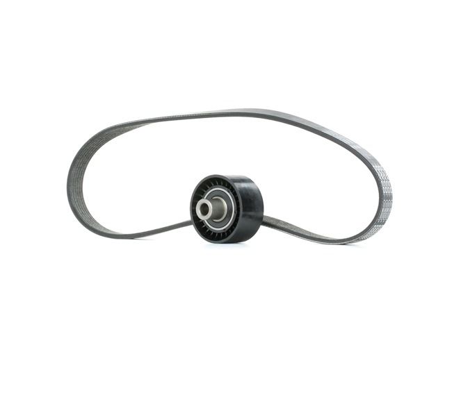 OEM 5751F4 STARK Kit Cinghie Poly-V SKRBS-1200146 per FIAT, VOLKSWAGEN, OPEL, PEUGEOT, CITROЁN