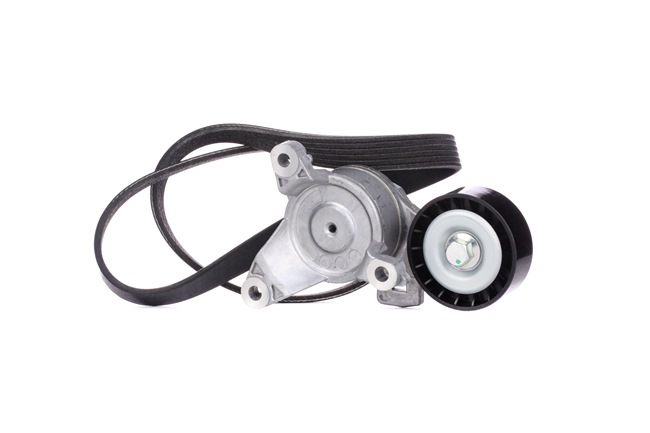 Poly V-riem set (542R0148) van RIDEX Voor CITROËN C4 Picasso I (UD_) 1.8 Bifuel (92 KW / 125 PK / Van 2009)