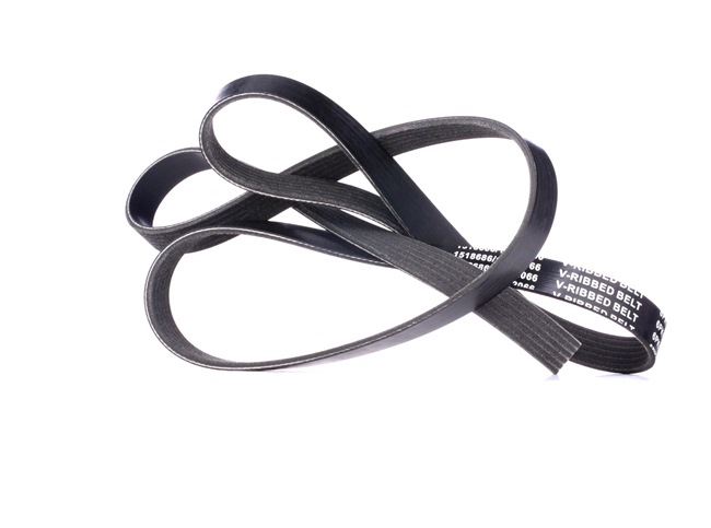 RIDEX Ribrem 305P0402