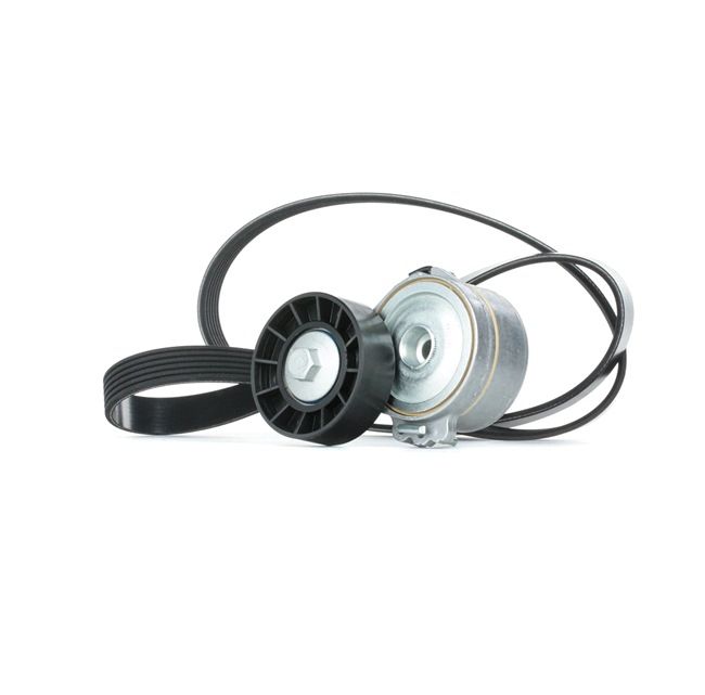OEM 30684427 STARK Kit Cinghie Poly-V SKRBS-1200149 per VOLVO