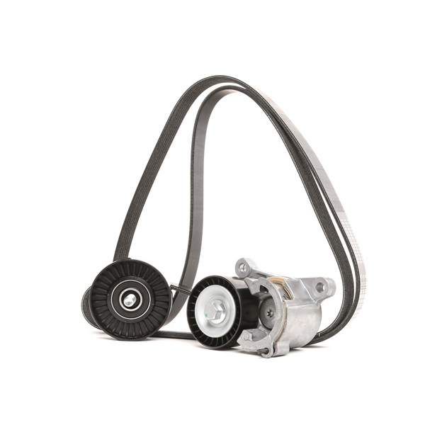 Poly V-riem set (542R0154) van RIDEX Voor PEUGEOT 206 Hatchback (2A/C) 2.0 S16 (100 KW / 136 PK / Van 1999)