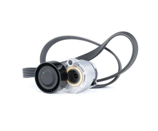 Poly V-riem set (542R0170) van RIDEX Voor RENAULT Clio III Hatchback (BR0/1, CR0/1) 1.4 16V (72 KW / 98 PK / Van 2005)