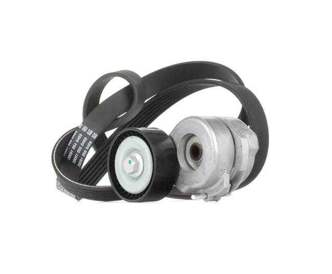 OEM 1539606 STARK Moniurahihnasarja SKRBS-1200171 varten VOLVO, FORD, NISSAN, OPEL, FIAT
