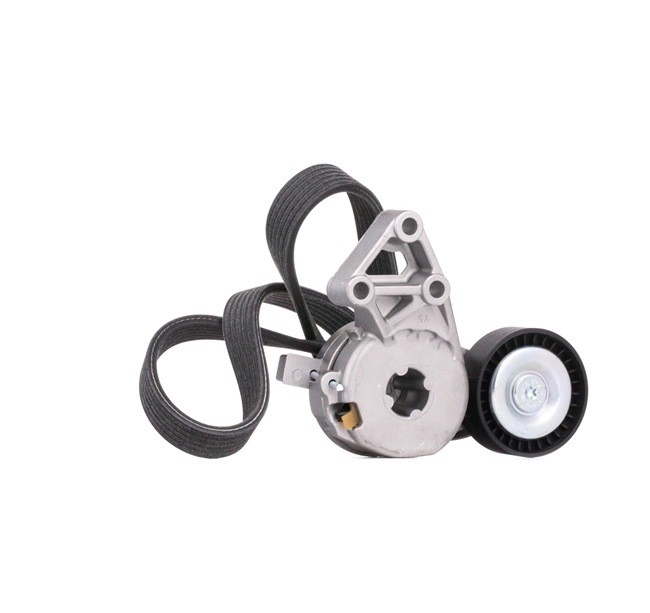 OEM 06A903315E RIDEX  Keilrippenriemensatz 542R0178 für VW, AUDI, SKODA, SEAT, PORSCHE
