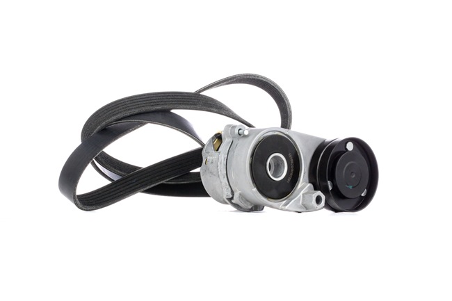 RIDEX V-Ribbed Belt Set (542R0181) for VW PASSAT Variant (3B6) 2.8 (140 KW / 190 HP / from 2000)