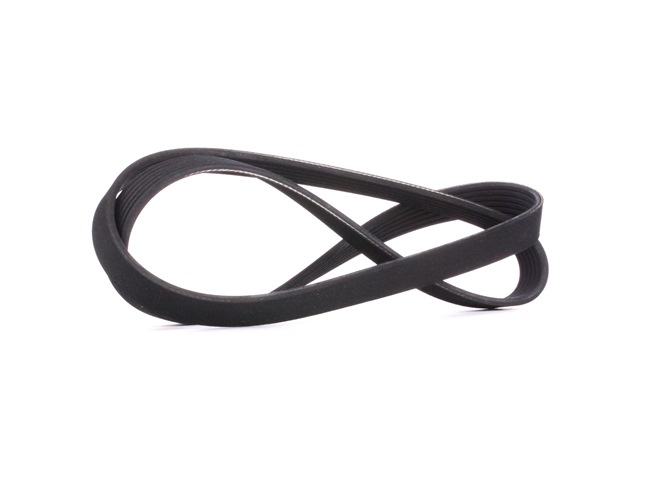 RIDEX Courroie d'alternateur 305P0406