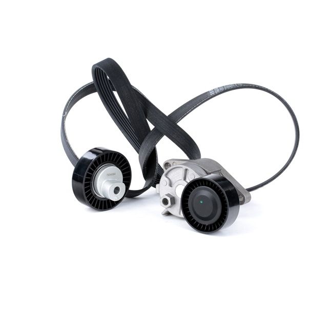 koop Poly V-riem set - STARK (SKRBS-1200197)