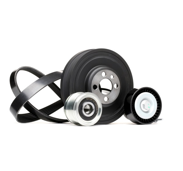 Poly V-riem set (542R0203) van RIDEX Voor VW Eos (1F7, 1F8) 2.0 TDI (100 KW / 136 PK / Van 2010)