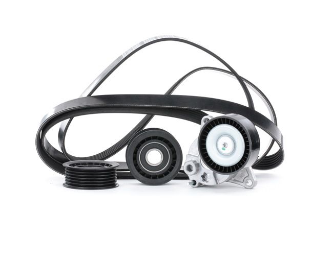 OEM 0009933696 RIDEX Drivremssats 542R0210 för MERCEDES-BENZ