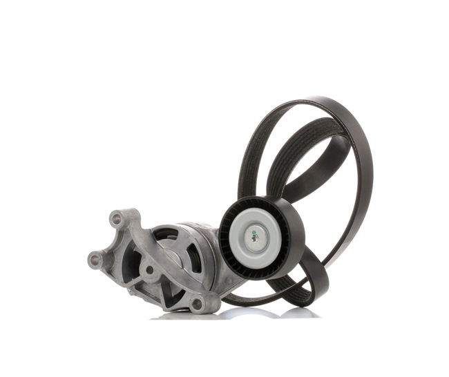 OEM 06F260849L RIDEX Poly V-riem set 542R0211 voor VOLKSWAGEN, AUDI, RENAULT, CITROЁN, SEAT