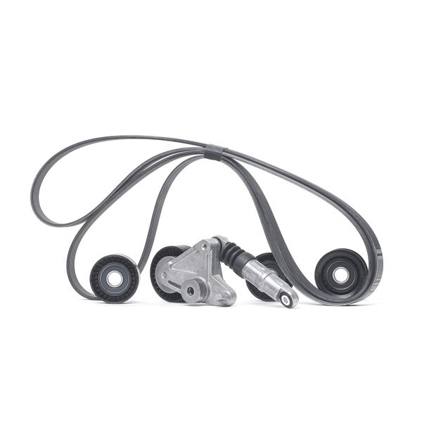 AUDI A6 2007 V-Ribbed Belt Set 6PK2490K1