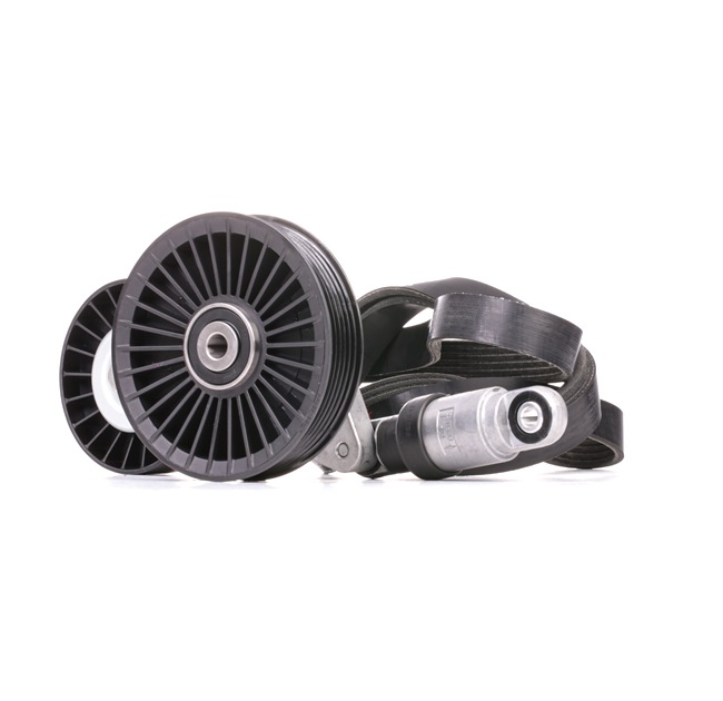 OEM 03D145933AD RIDEX Jeu de courroies trapézoïdales à nervures 542R0213 pour VOLKSWAGEN, AUDI, OPEL, TOYOTA, SEAT