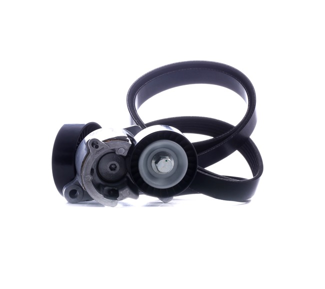 Poly V-riem set (542R0214) van RIDEX Voor CITROËN JUMPY (U6U) 2.0 i 16V (102 KW / 138 PK / Van 2000)