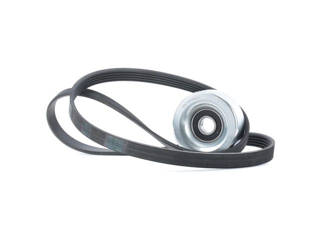 OEM 38920PWAJ01 RIDEX Moniurahihnasarja 542R0215 varten BMW, TOYOTA, PEUGEOT, HONDA, CITROЁN