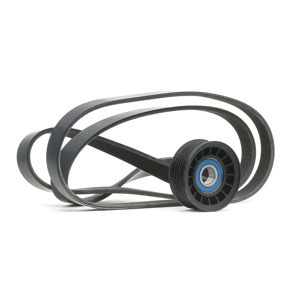 RIDEX Jeu de courroies trapézoïdales à nervures (542R0217) pour FORD C-Max (DM2) 1.8 Flexifuel (92 KW / 125 CH / de 2007)
