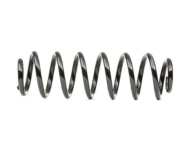 RIDEX Fjærer 188C0654
