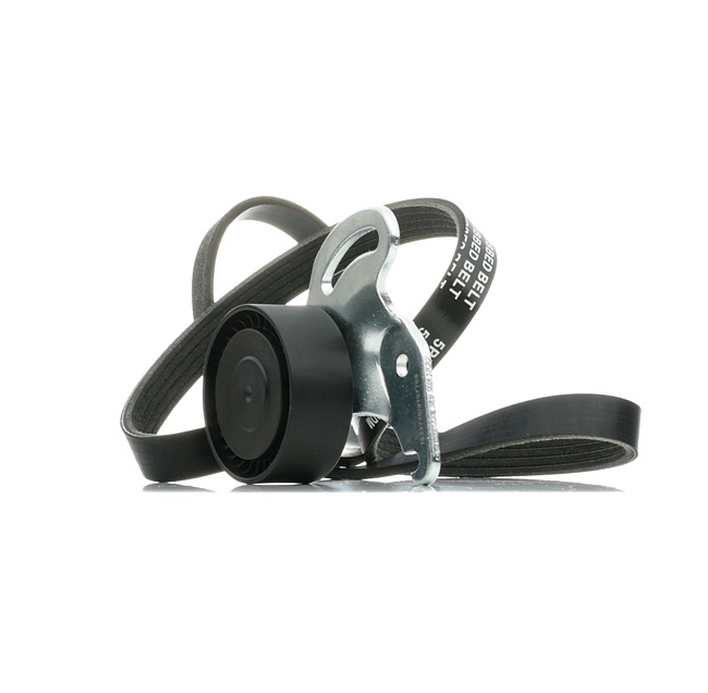 Poly V-riem set (542R0231) van RIDEX Voor RENAULT CLIO II (BB0/1/2_, CB0/1/2_) 1.5 dCi (42 KW / 57 PK / Van 2001)