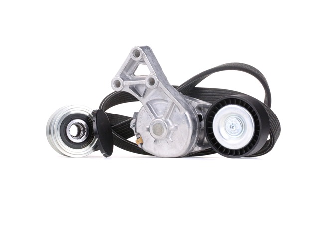 OEM 038903023R RIDEX Kileremsett 542R0234 for VW, AUDI, FORD, MITSUBISHI, SKODA