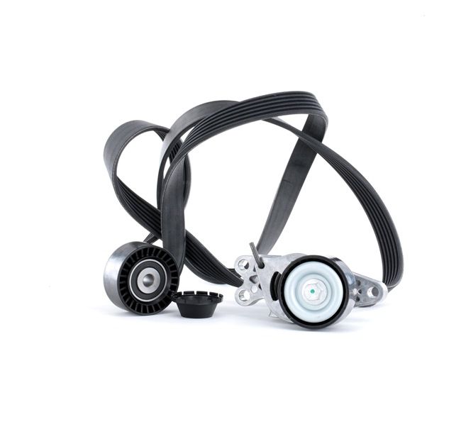 Poly V-riem set (SKRBS-1200250) van STARK Voor PEUGEOT 206 Hatchback (2A/C) 1.6 (81 KW / 110 PK / Van 2005)