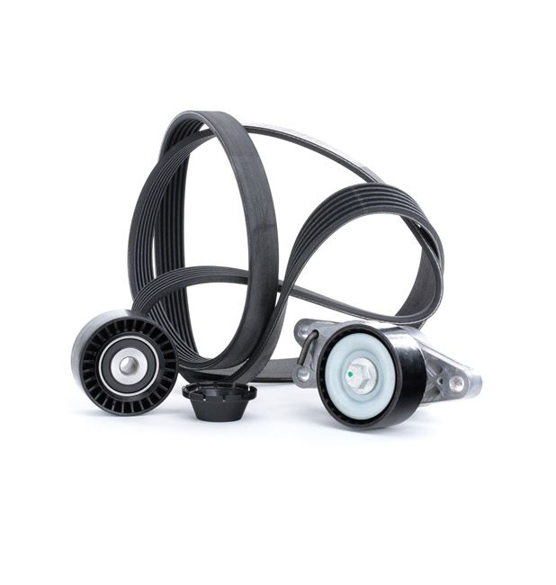Poly V-riem set (542R0251) van RIDEX Voor PEUGEOT 206 Hatchback (2A/C) 1.6 8V (66 KW / 90 PK / Van 1999)