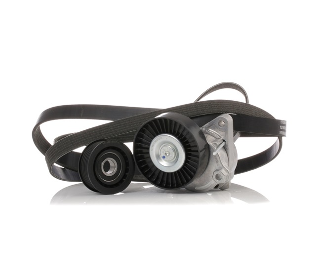 OEM A1122000170 RIDEX  Keilrippenriemensatz 542R0252 für MERCEDES-BENZ, CHRYSLER