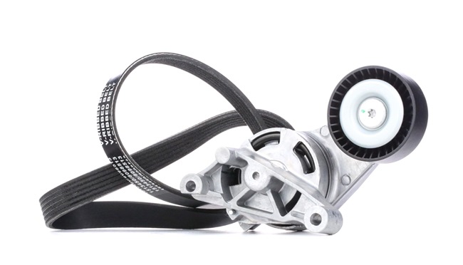 Poly V-riem set (542R0256) van RIDEX Voor VW Passat Variant (3C5) 2.0 TDI (90 KW / 122 PK / Van 2005)