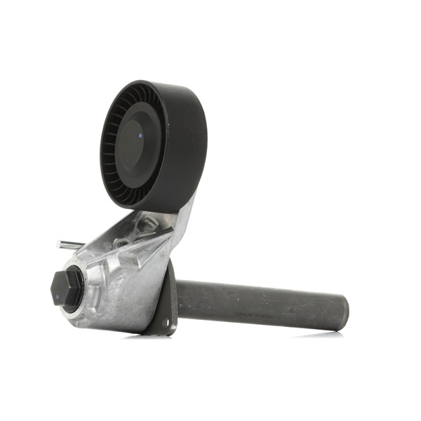 RIDEX Polea tensora, correa poli V (310T0308) para BMW X6 (E71, E72) xDrive 30 d (173 KW / 235 CV / de 2008)