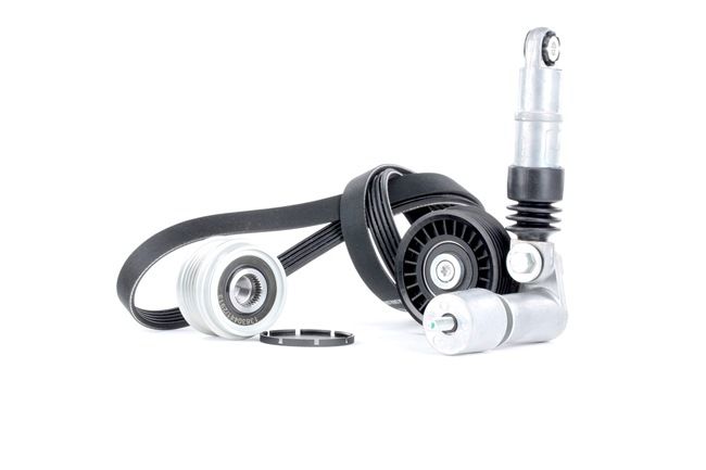 Poly V-riem set (542R0271) van RIDEX Voor VW PASSAT Variant (3B5) 1.9 TDI (85 KW / 115 PK / Van 1998)